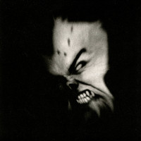 ildjarn "Strength and Anger" Coke Bottle Green Vinyl Double LP ildjarn "Strength and Anger" Coke Bottle Green Vinyl Double LP