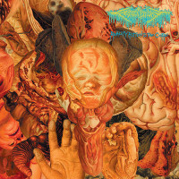 FesterDecay "Reality Rotten To The Core" LP 