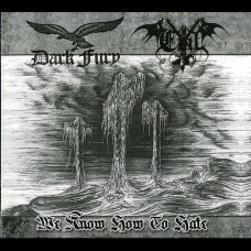 Darkfury / Evil "Wiemy, jak Nienawidzić" Split CD