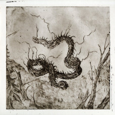 Naðra "Allir Vegir til Glötunar" LP