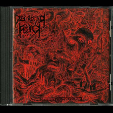 Destroyer Attack "Ominous Devotion" CD