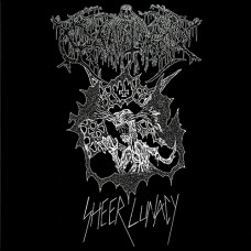 Gravetaker "Sheer Lunacy" LP