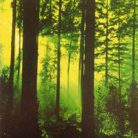 Thy Serpent "Forest of Witchery" LP Thy Serpent "Forest of Witchery" LP