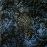 Portal "Vexovoid" LP Portal "Vexovoid" LP