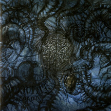 Portal "Vexovoid" LP Portal "Vexovoid" LP