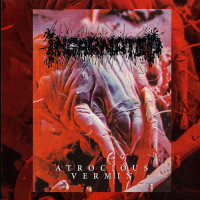 Damnable / Incarnated "The Futuristic Trial of Mankind / Atrocious Vermin" Split LP