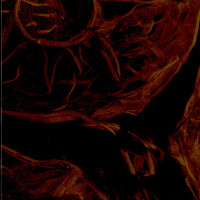 Furia "Płoń" LP