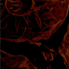 Furia "Płoń" LP