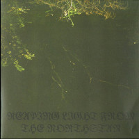 Nächtlich "Reaping Light from the Northstar" 7"