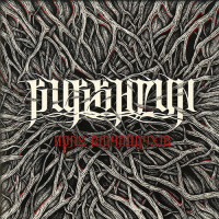 Burshtyn "Прах Відчайдухів / The Daredevils' Ashes" LP + Booklet