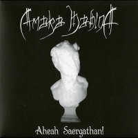 Amaka Hahina "Aheah Saergathan!" LP (LLN)