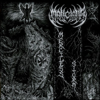 Malicious "Merciless Storm" MLP