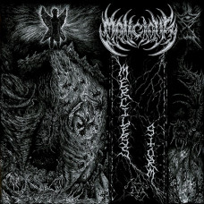 Malicious "Merciless Storm" MLP