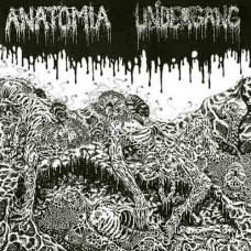 Undergang / Anatomia Split LP