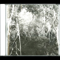 Wrath Of The Weak "Wrath Of The Weak" CD