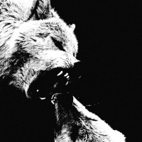 Black Witchcraft (Черновство) "Порядок" LP Black Witchcraft (Черновство) "Порядок" LP