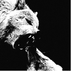 Black Witchcraft (Черновство) "Порядок" LP Black Witchcraft (Черновство) "Порядок" LP