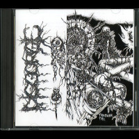 Disgorge "Through the Innards" CD Disgorge "Through the Innards" CD