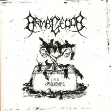 Armagedda "The Storm" 7" Armagedda "The Storm" 7"