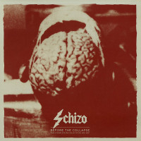 Schizo "Before The Collapse" LP+7"+CD