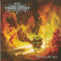 Nokturnal Mortum "The Voice of Steel" Double LP
