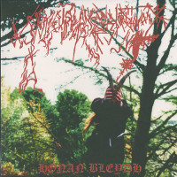 Ynkleudherhenavogyon "Honan Bleydh" Red Vinyl LP