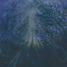 Tetrasigil "Forest Storm" LP