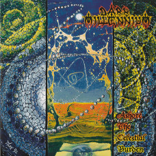 Dark Millennium "Ashore The Celestial Burden" LP