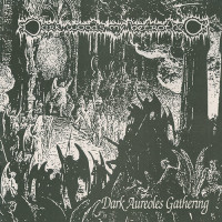 Darkwoods My Betrothed / Virgins Cunts "Dark Aureoles Gathering" LP