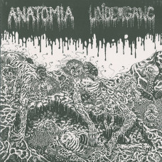 Anatomia / Undergang Split LP