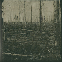 Hate Forest "Scythia" LP