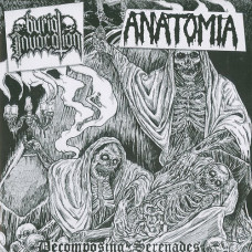 Anatomia / Burial Invocation Split Brown Vinyl 7"