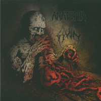 Anatomia / Ruin Split LP