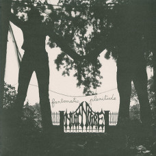 Nuit Noire "Fantomatic Plenitude" LP