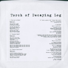 Torch of Decaying Log "S/T" 7"