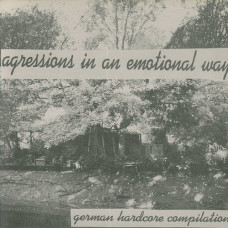 V/A "Aggressions in an Emotional Way - German Hardcore Comp" 7"