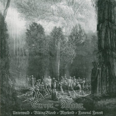 Unterwald /Vikingblood / Myrkvid / Funeral Forest Split 7"
