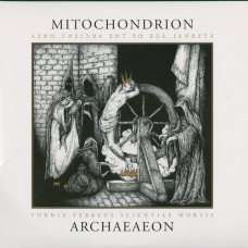 Mitochondrion "Arcaeaeon" Double LP