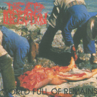 Dead Infection "World Full Of Remains" LP