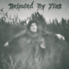 Befouled by Flies "Befouled by Flies" 7"