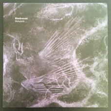 Bleakwood "Solypsis" LP