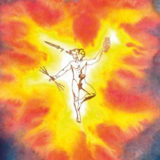 Bolzer "Hero" Regular LP