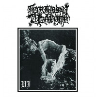 Forbidden Temple "VI" LP